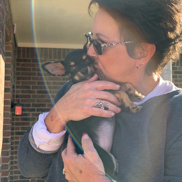 Meet your Posher, Laura - Picture 1 of 1